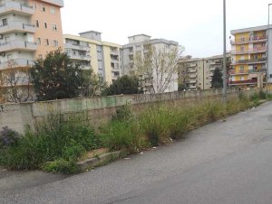 Verde pubblico, Comitato di quartiere Tufolo-Farina denuncia stato d&#039;abbandono