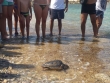 Tornata in mare &quot;Cèlia&quot; tartaruga marina presa in cura dal Centro di recupero dell&#039;Amp &quot;Capo Rizzuto&quot;