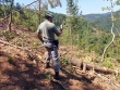 Cotronei, sorpreso a tagliare legna nel Parco della Sila: denunciato uomo di Petilia. Savelli, sequestrati 9 motocicli non immatricolati